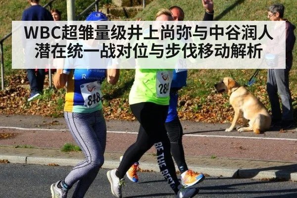 WBC超雏量级井上尚弥与中谷润人潜在统一战对位与步伐移动解析